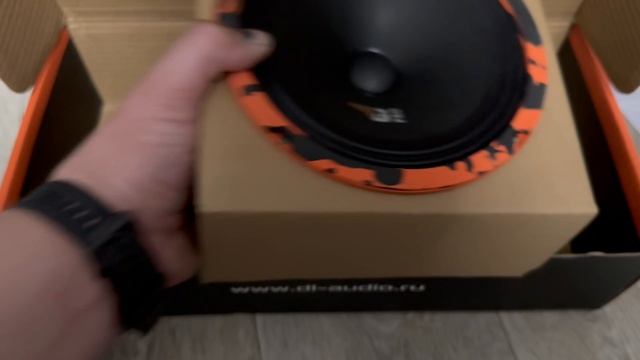 DL Audio Gryphon 165 pro в kia rio 4 задние двери