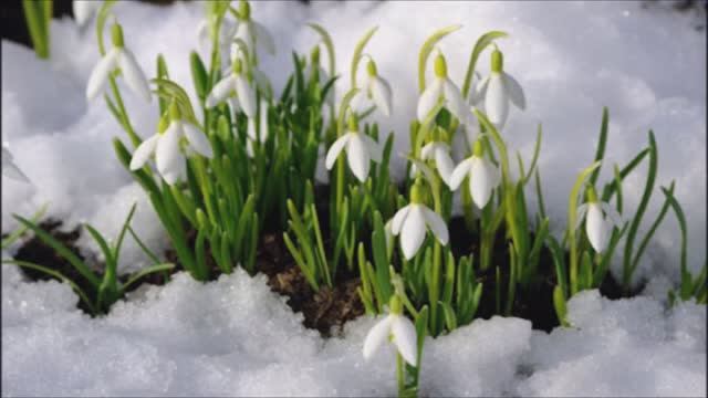 Кратко о любви