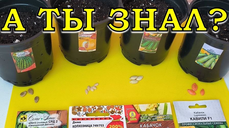 Эти ОВОЩИ сеем в АПРЕЛЕ🍅🍆🥕