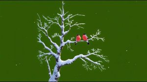 Снегири на дереве 1_encoded