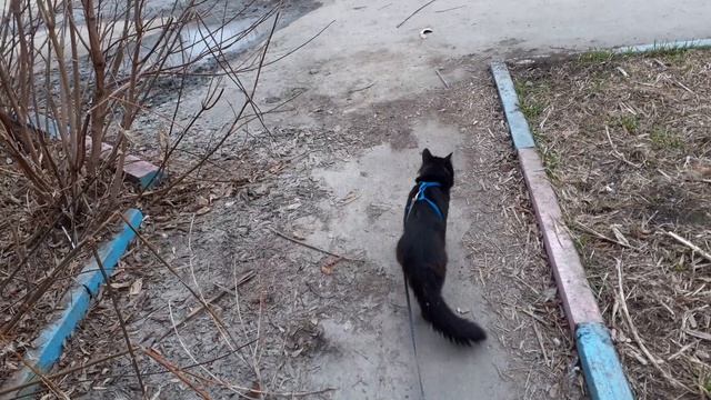 На улице хорошо но грязно. смотреть онлайн
