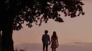 Липа с кроною кудрявой