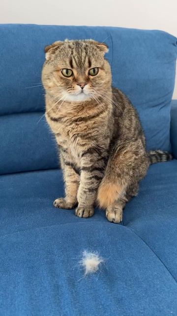 СОФИКУ СКОРО ГОД 🤩