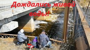 Бурная весна на Урале