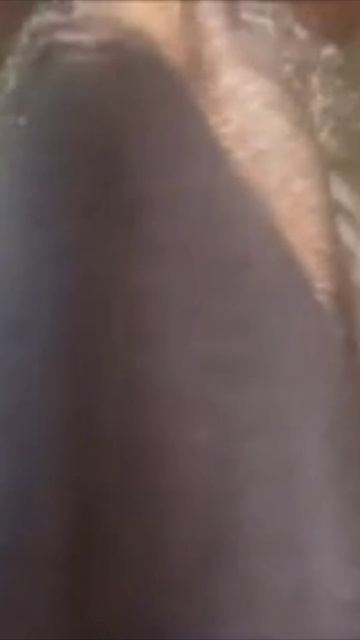 Животное попало в беду, но мотоциклист решил спасти его. Добрый поступок снятый на камеру