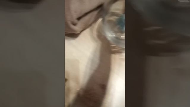 ворка блин как всегда как же она меня достала##@@*