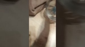 ворка блин как всегда как же она меня достала##@@*"@₽##§$¢###