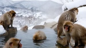 Все кто на меня не подписан на этом видео)