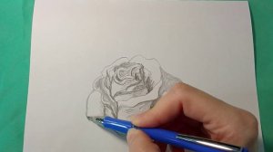 Гипсовая роза