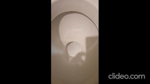 Забит унитаз? Решение и туалет как новый