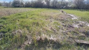 Прогулка! Что новенькое! Гороховый суп🍲! Погода не лётная! Юг России🌴.