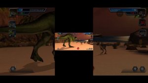 выбил карно