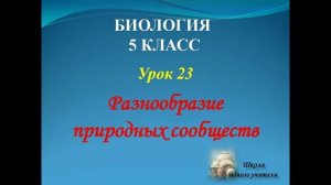биология 5 класс лекция 23 по теме Разнообразие природных сообществ