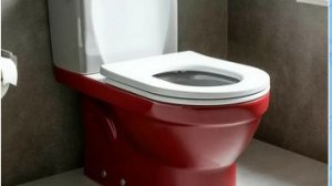 Установка новой крышки и сиденья унитаза.