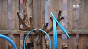 Вороний день