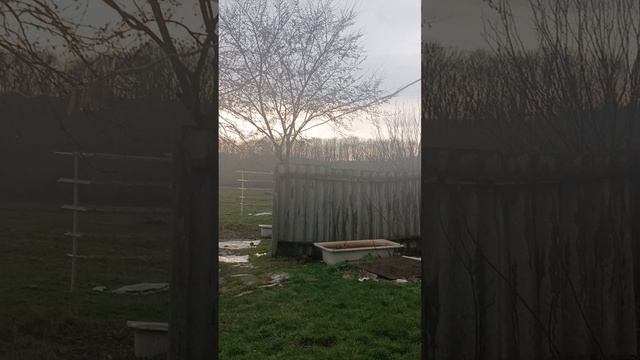 Весна. Апрель