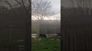 Весна. Апрель