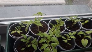 9 апреля 2026г.