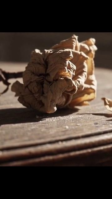 #фип #будущее #технологии #исследования