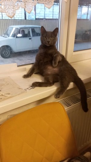 маенкрафте