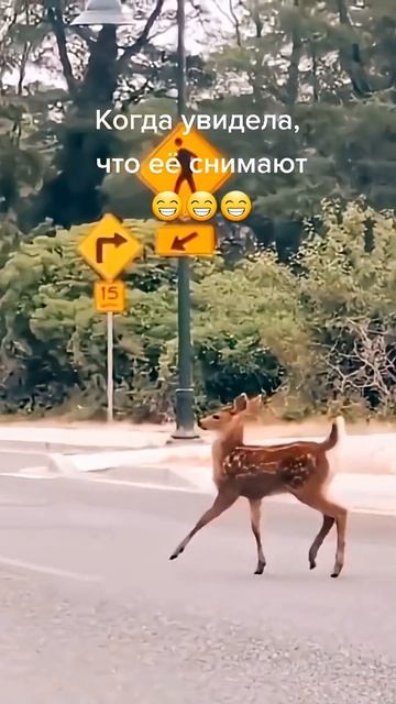 Работа на камеру