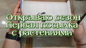 Открываю сезон | Первая посылка с растениями
