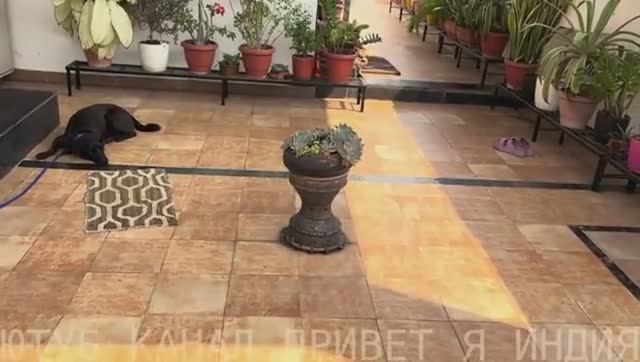 Привет Я Индия  ЧТО НАЧАЛОСЬ В ИНДИИ УЖЕСТОЧИЛИ ПРАВИЛА В ГОРОДЕНОЧНАЯ ЖИЗНЬ ПОД ЗАПРЕТОМ