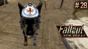 Солдатский блюз. Fallout New Vegas (Хардкор) # 28
