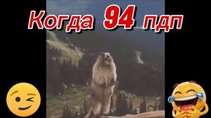 94?! НУ ЭТА УЖЕ КРАЙ