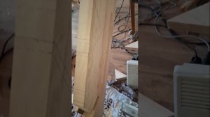 1000055486.mp4 (Собака наблюдает за устройством лестницы на 2-ой этаж в доме А-фрейм)