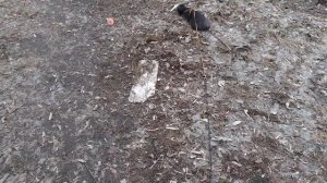 Охотник Тишка.