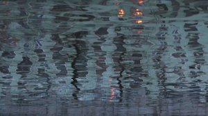 Петербург. Фотогения. 2015