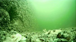 1000014691.mp4Волга гл.5м.09.04.2026г.