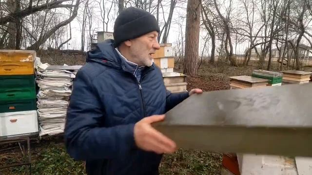 ДЯТЕЛ на ПАСЕКЕ натворил дел