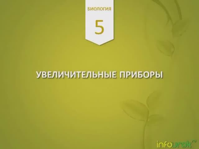 Увеличительные приборы