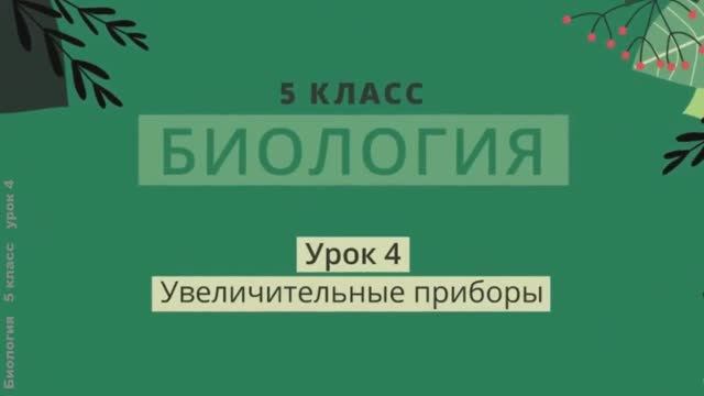 Увеличительные приборы