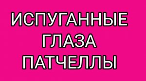 Как стать звездой интернета!?