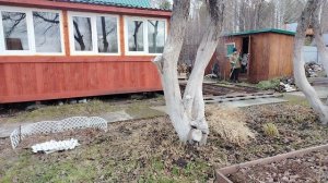 9 апреля , чистый четверг.