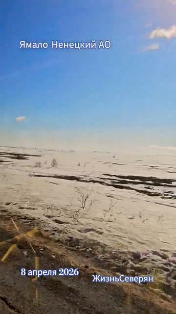 Дорога Харп—Лабытнанги. Ямало-Ненецкий АО. Весна 2026. Жизнь Северян.