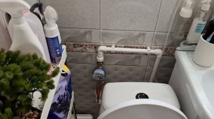 Чистый четверг, отработала, яйца крашу, пожарила форель, постирала пледы👌