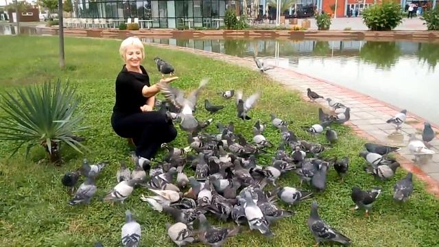 Сочи Мама кормит голубей