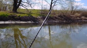 Апрель-дрессирую окуней