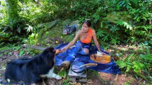 Утро в лесу: домашний кофе и моя австралийская пастушка Незуко.