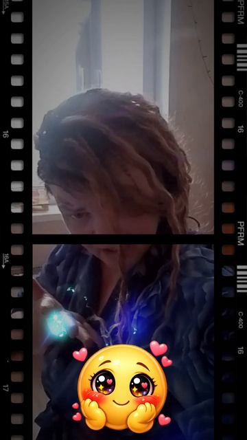 новая программа сня