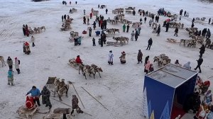 10/ День Оленевода - 2026 город Новый Уренгой Ямало - Ненецкий автономный Округ 5 Апреля 2026г.