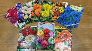 6 апреля. АСТРЫ, АГЕРАТУМ, БАРХАТЦЫ, ЦИНИИ, КАЛЕНДУЛА. Посадка на рассаду.