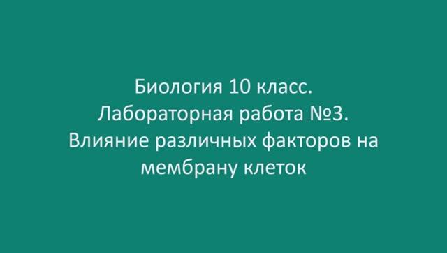 Влияние различных факторов на мембрану клеток