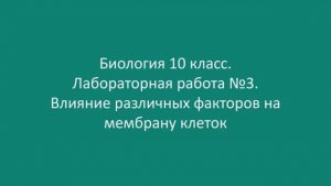 Влияние различных факторов на мембрану клеток