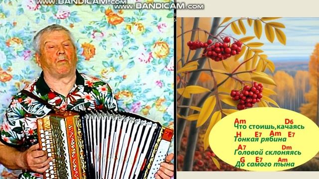 ТОНКАЯ РЯБИНА.в улучшенной версии на гармони