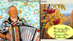 ТОНКАЯ РЯБИНА.в улучшенной версии на гармони